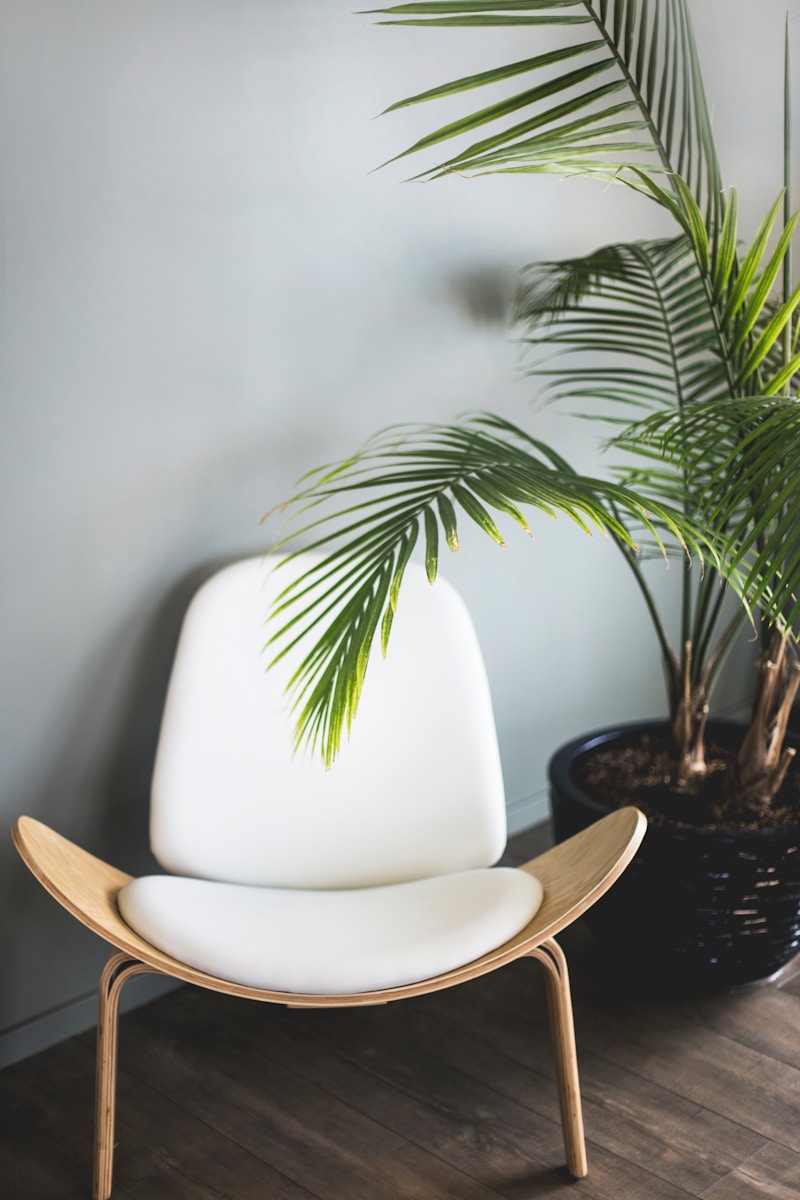Photo by Kari Shea brown wooden chair beside plant
